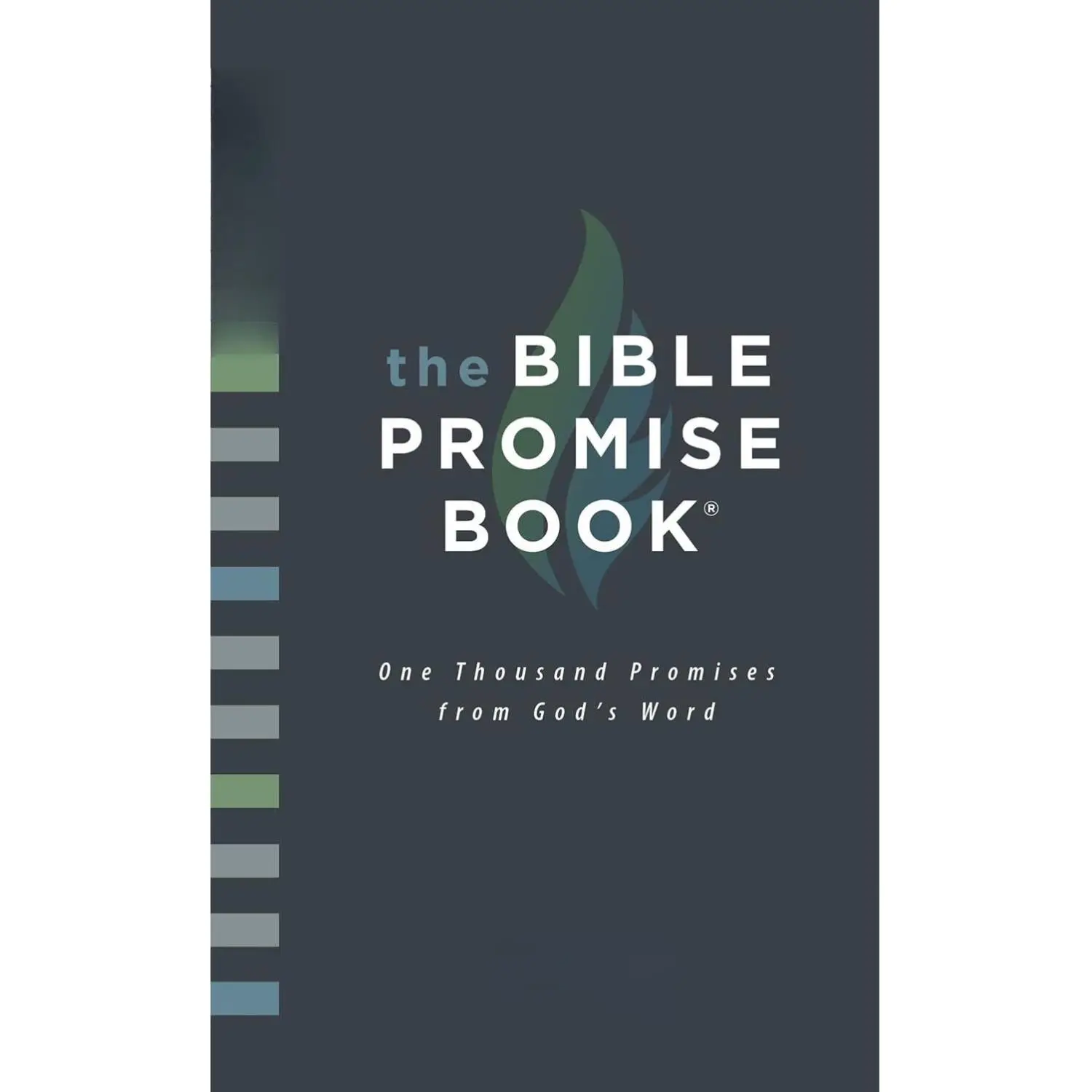 The Bible Promise Book: New Life Version (New Life Bible) Childhood Prayer Journal for Daughters Inspirational 90 Day Devotional biblia s personal iza