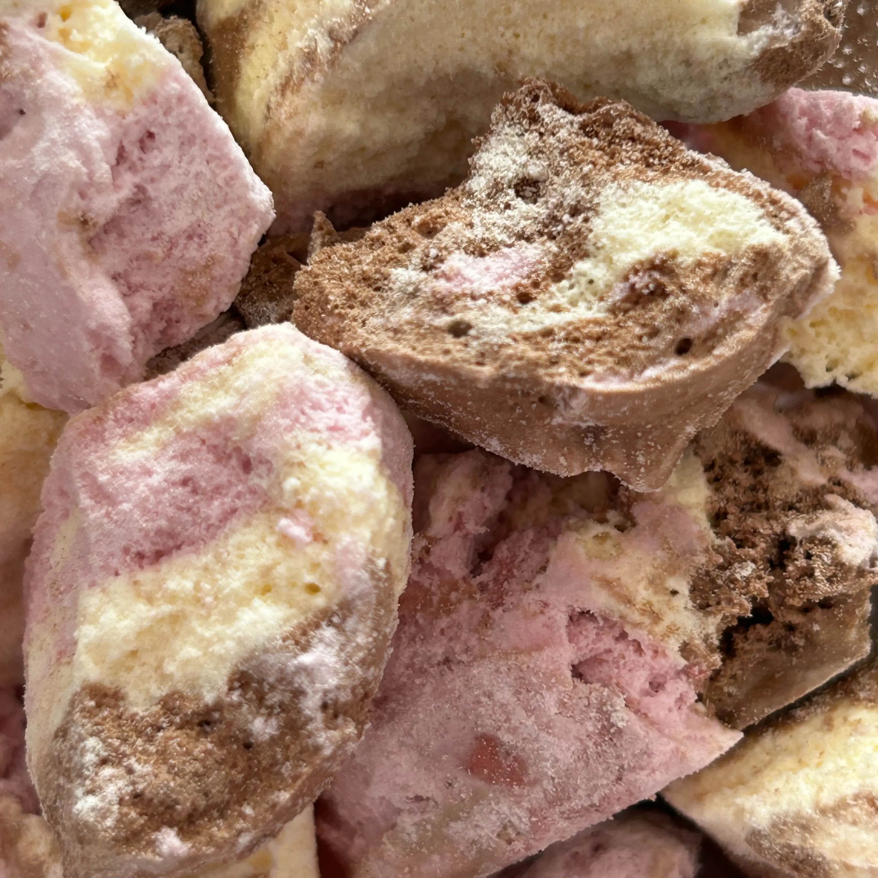 Freeze Dried Neapolitan Scoops