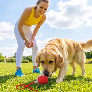 Smart Automatic Moving Dog Toy Ball with Rope LED Glowing Interactive Pet Self Play Toy Chew Resistant Teeth Grinding Enrichment Brain Training Toy for Small Medium Dogs Cats USB Type-C Rechargeable