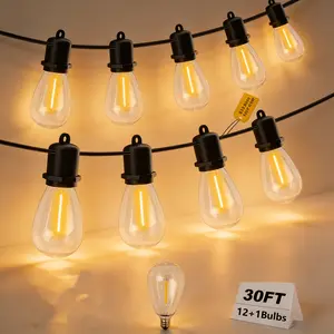 30FT S14 LED  String , 10 Bulbs + 1 Spare, Black Wire, Warm White outdoor lights Garden Lamps Flood