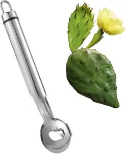 Cactus Peeler Tool, 7.48x1.89in Spoon Cactus Peeler Cactus Peeling Knife Sliced Noodle Cutting Knife with Hole with Long Handle for Kitchen Cooking Cactus Noodle