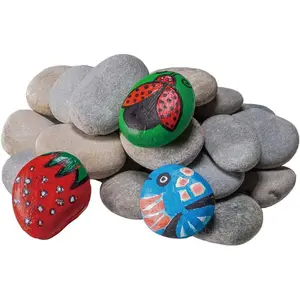 River Rocks for Painting 20PCS Smooth Unpolished Stones Kit Assorted Size Diameter 2-3In