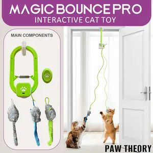 Christmas Interactive Cat Toys, Electric Cat Teaser,   Festive Squeaky Pet Toy, Chew-Resistant Plush Pet Toy , Door Clip Design, Indoor Cat Interactive Roller Tracks Stimulates Mind & Body, Motion Activated, Cat Toys, Interactive Kitten Toy Assortment, ti