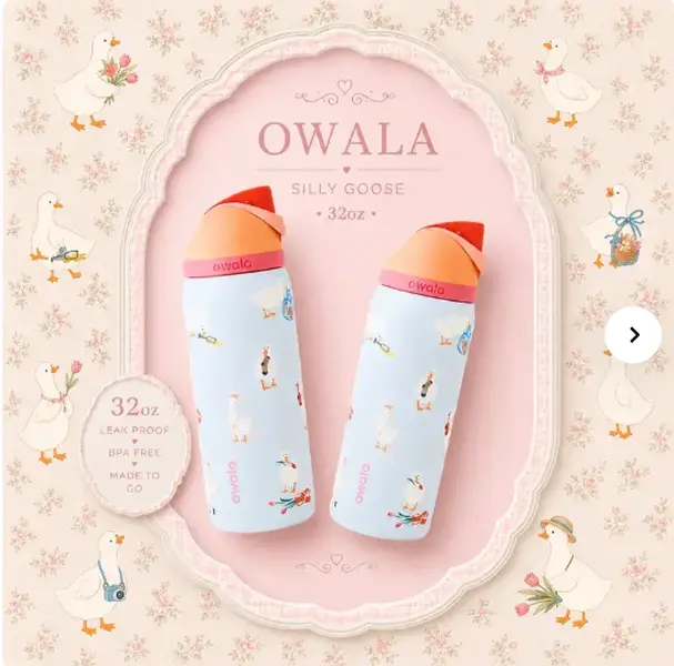 Owala UO Exclusive Silly Goose FreeSip 32 oz Insulated Water Bottle for Kitchen, Drinkware Use