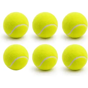 Tennis Balls 6 Pack  Tennis Balls,High Elasticity Practice Tennis for Beginner, Exercise Playing Balls for