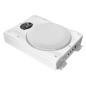 8"1000 Watts Slim Marine Subwoofer System 8"1000 Watts Slim Marine Subwoofer System