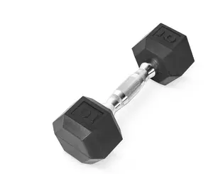 10lb Rubber Hex Dumbbell, Single