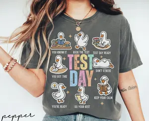 Test Day You Got This Testing Shirt Comfort Colors, Teacher State Testing Tee, Teacher Testing T-shirt, Goose Testing Coordinator Shirt, Test Day Tee