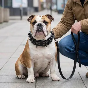 Adjustable Dog Collar with Sharp Spikes, Anti-Bite Rivets, Protects Pet Neck, Suitable for Medium and Large Dogs, Bullmastiff Labrador