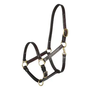 Henri de Rivel Leather Turnout Halters With Snap