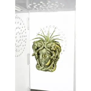 Magnetic Medusa Wall Planter | Enclosure Decor | Jumping Spiders