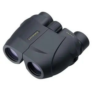 Leupold BX-1 Rogue Compact Binocular 10x25mm Inverted Porro Prism