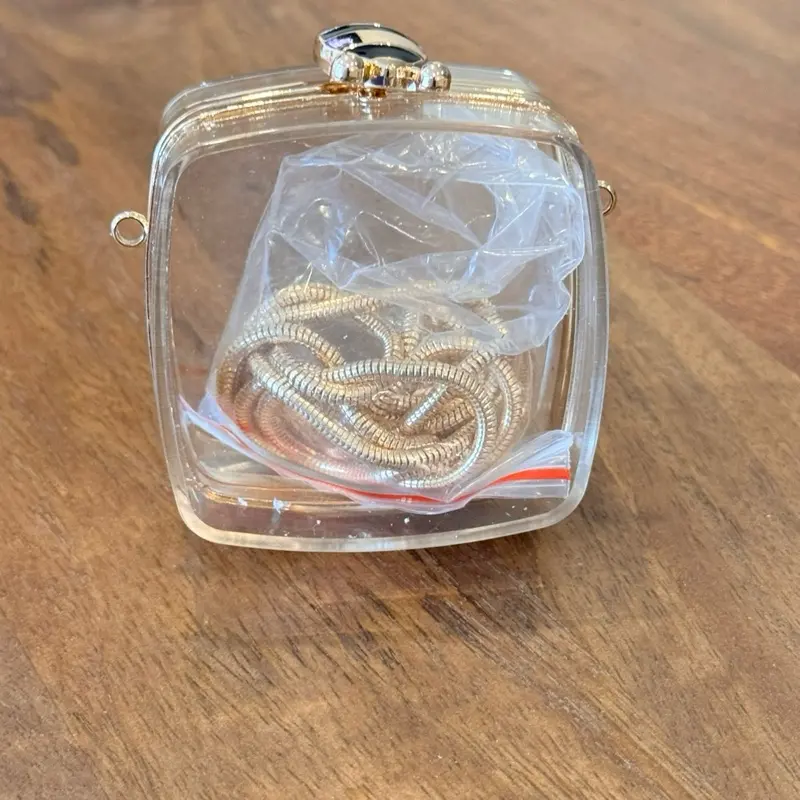Transparent Mini Clutch