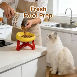 Stylish 15-Tilt Anti-Spill Elevated Pet Food Bowl, High Leg Cat Feeding Bowl, Non-Slip Wide Base, Durable Plastic, Suitable for Cats and Small Dogs