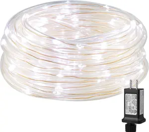 Lighting EVER Plug-in LED Rope Lights, 1/4 in Pencil-Size Small Tube, 33 ft 100 Copper Wire Outdoor Waterproof, 6000K Cool White Thin Rope for Railing, Fence (Not Connectable), Led Outdoor Waterproof