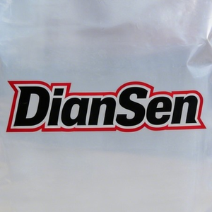 DIAN SEN