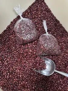 Frijol de Seda Salvadoreños 2lbs - Seeds Beans