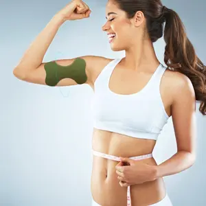 Artemisia arthritis joint, arm and bone care patches 48 tablets -- goodbye to arm pain, leg weakness / for men and women Healthcare Treatment