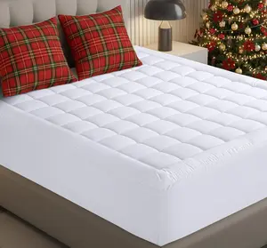 Bedding Queen Mattress Pad, Quilted Fitted Premium Mattress Protector, Deep Pocket Cover Stretches up to 16 Inches, Fluffy Pillow Topper (60x80 Inches, White)