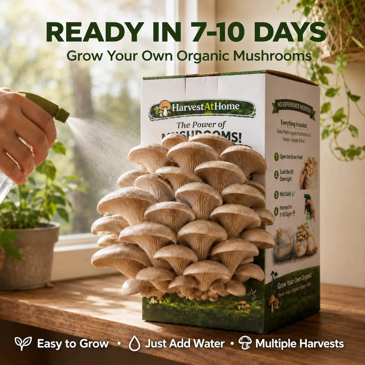 【Summer】Organic Oyster Mushroom Grow Kit 3.5 lb  | 1-7 Days Harvest | Easy to Grow Indoor | No Soil/Sun Required, Multiple Harvests | USDA Organic | Non-GMO | Made in USA | Perfect for Home Kitchen & Gardening EnthusiastsGift for Adults & Kids