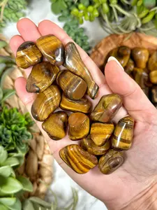 5pcs Natural Tiger Eye Tumbled Stones Premium Healing Crystals Quartzs Energy Mineral Gemstones Set for Aquarium Decor
