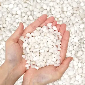 Natural Polished Decorative White Pebbles 1.5lb For Your Garden Plants, Home DIY Decor,Aquarium Gravel,Vase Fillers,Fairy Garden,Landscaping Outdoor Stones