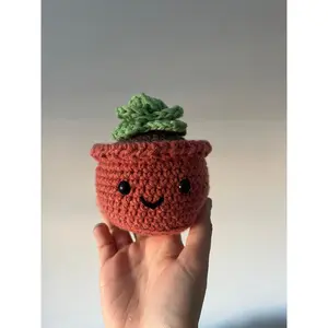 Succulent Crochet Kit