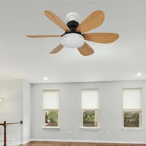 E27 Ceiling Fan Light with Remote Control, 3 Speed Adjustable Ceiling Fan Light, Indoor Lighting for Kitchen, Bedroom, Small Room, Closet