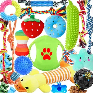 25-piece set of dog toys, including chew toys for cleaning and teething, vocal toys, therapeutic dispenser balls, tug-of-war toys, teething toys, and a leash toy set suitable for puppies to young dogs.