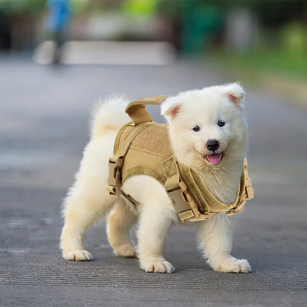 Tactical Dog Harness with Rubber Handle For Small Dogs and Cats ,#backtoschool, Military Puppy Vest Harness for Outdoor Training