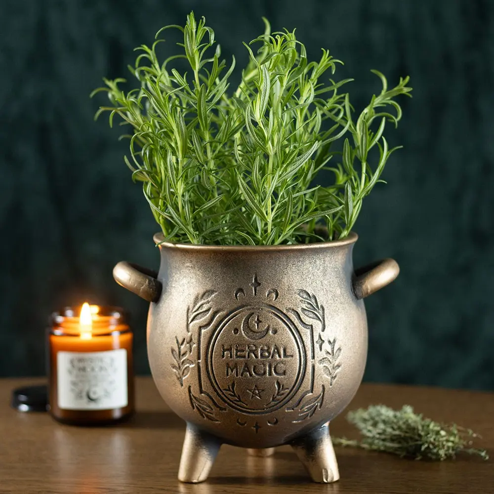 Herbal Magic Cauldron Terracotta Planter