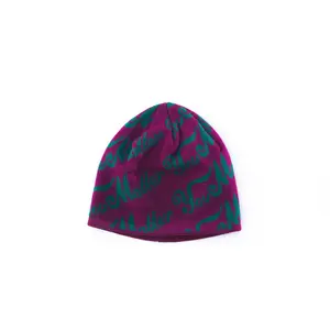 Purple-Green Knitted Beanie Hat - Fashionable Thermal Knit Warm Up Beanies Hats for Daily Winter Wear