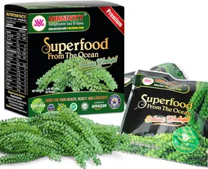 BIG SALE 2026!!! LONGEVITY Dehydrated Sea Grapes, 1.4 oz of (Pack of 2), Umibudo Green Caviar, Lato Seaweed | Enhance Health, Boosting Immune System, Valued Natural Gift From Sea (Original, 40g)