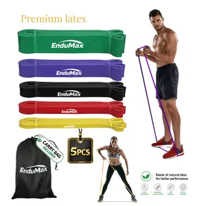 EnduMax Resistance Bands (Set of 5), 100%  Latex Exercise Bands, 5 Resistance Levels Light to Heavy, Durable Non-Slip Workout Bands for Fitness, Strength Training, Yoga, Pilates, Physical Therapy, Stretching,  Abdominal  Core Ab Roller
