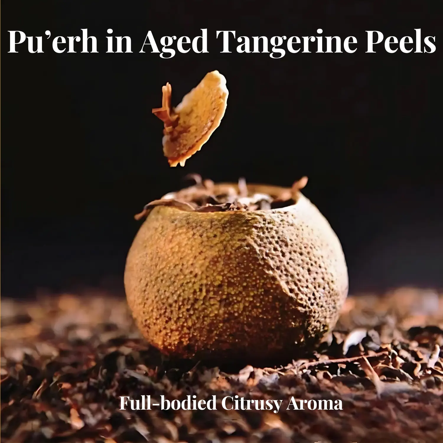 Presteva Tea Pu'erh in Aged Tangerine Peels Premium Black Tea and Aged Tangerine Peels with infamous Kaiping City in Guangdong