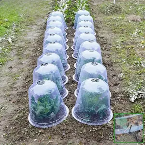 Reusable Plant Cover, 30pcs/60pcs Bird & Snail Damage Protection, Vegetable & Seedling Moisture Cover for Garden Use, Flower Cover for Low Plants, Garden Supplies