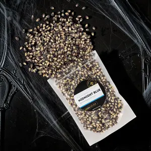 Midnight Blue Popcorn Kernels - Half Pound Bag - Movie Snack