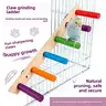 Tiger-skin peony parrot toy sandblasted items, small bird interactive climbing rope swing, cloud ladder for sharpening claws and grinding beaks, parrot toy wooden ladder, bird claw sandblasting tool, Bird perches for cage, Safe Material
