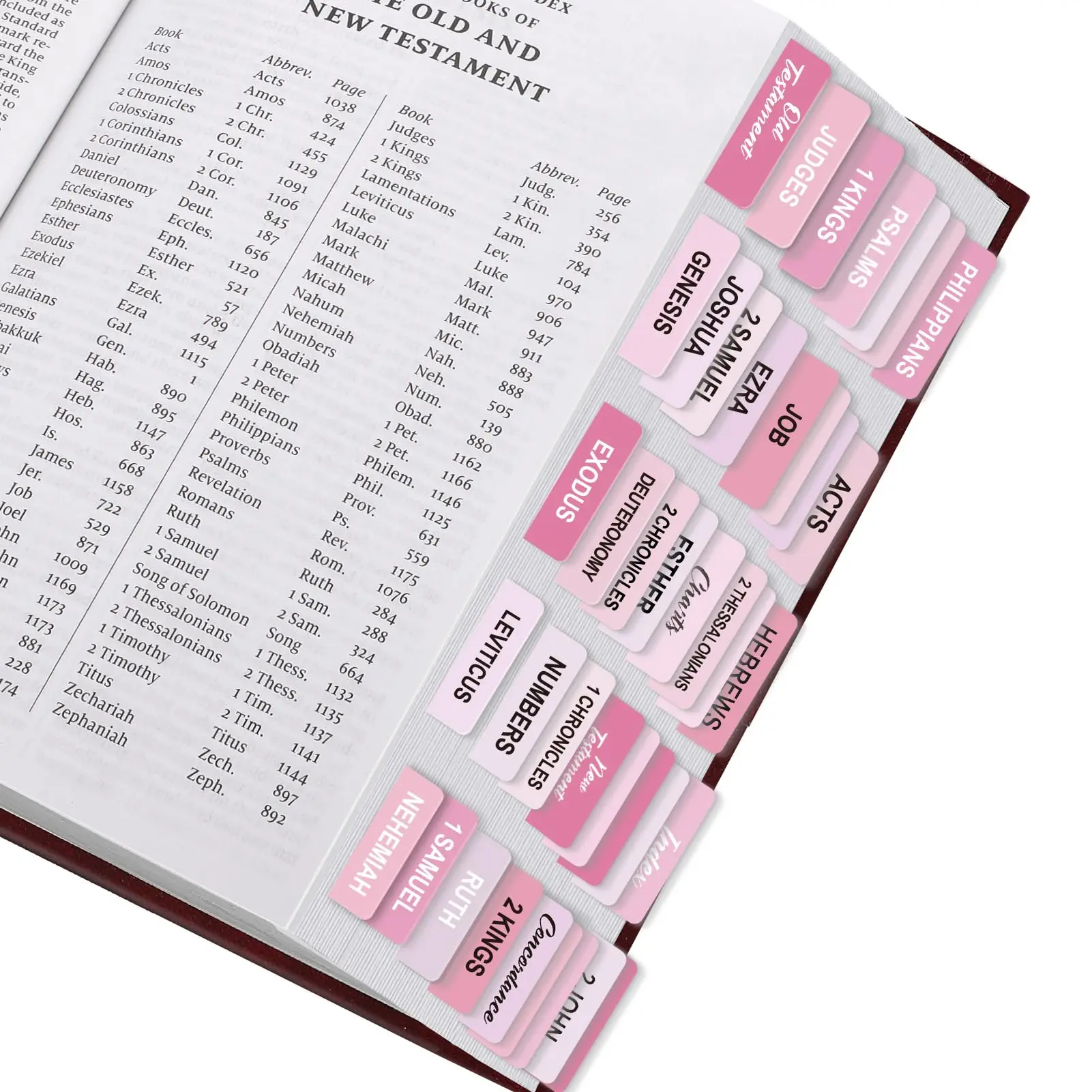 Personalized Bible accessory, SKYDUE Bible Tabs, 100 Tabs, Laminated Bible Tabs for Women and Men, Bible Tabs for Study Bible, Bible Index Tabs, Bible Book Tabs, Bible Labels Tabs, Boho Book Reading Stickers Adhesive Vinyl