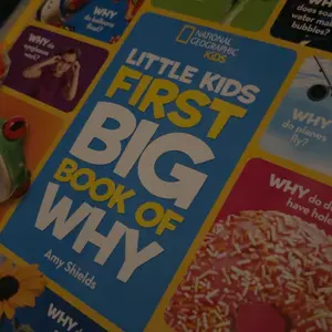 Used Hardcover Educational Book - National Geographic Little Kids First Big Book of Why: World Questions & Answers for Curious Kids by Amy Shields, English, Playful, Colorful Crafts, 1.76 lb, Activities, Hands-On Activities