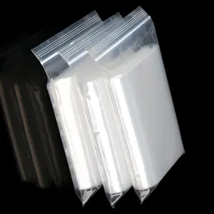 Gabrielle Hot Wigs Transparent Bag