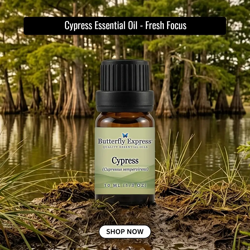 10ml Cypress Essential Oil  (Cupressus sempervirens)