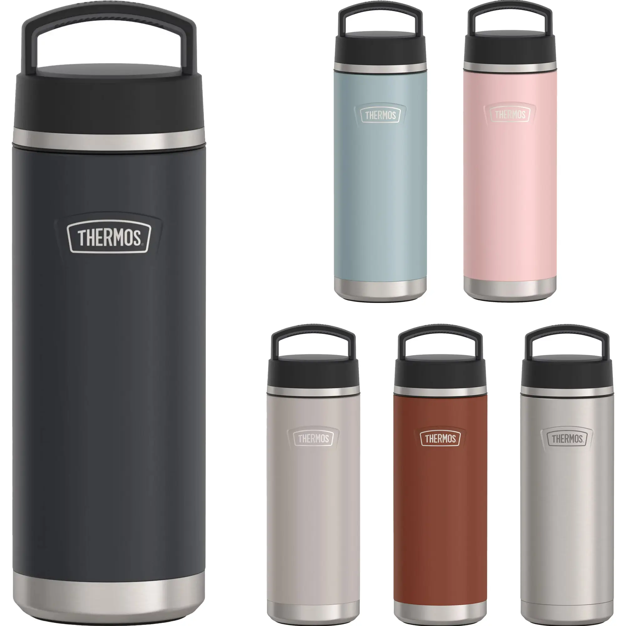 Thermos 24 oz. Icon Insulated Stainless Steel Screw Top Water Bottle