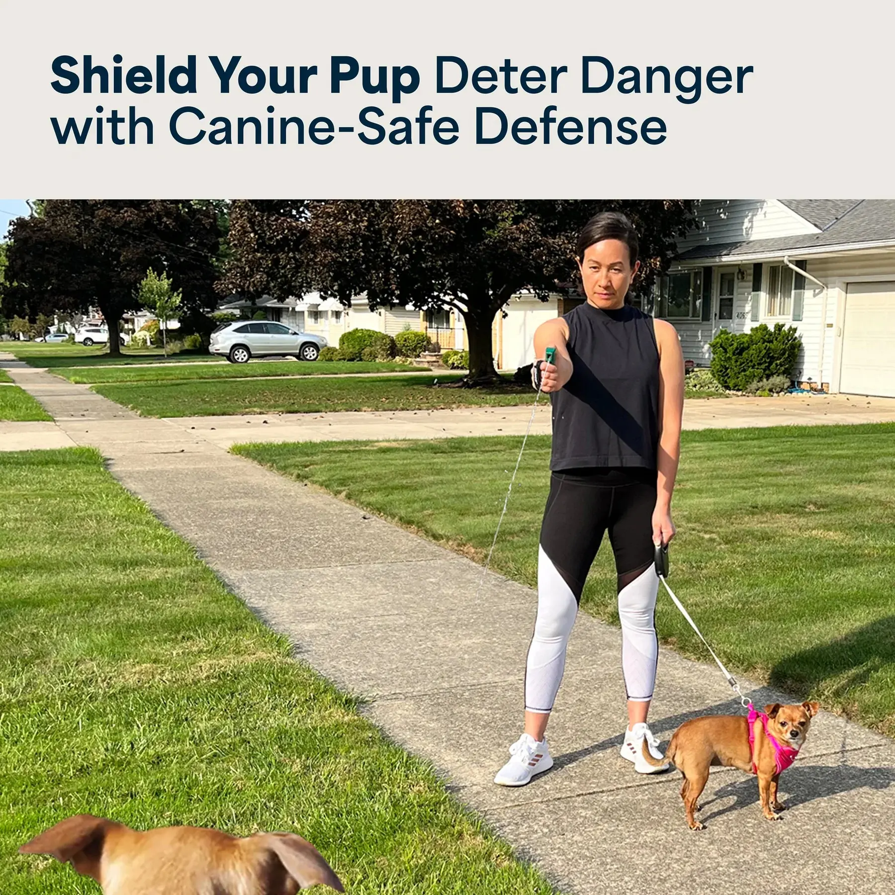 Dog Deterrent Spray