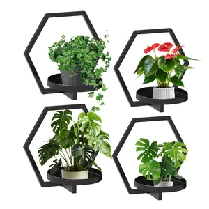 Garvee Hexagon Wall Shelf with 7.87" Tray - 20Lb Load Capacity, Multi-Functional Display & Storage Organizer for Plants, Decor & Essentials