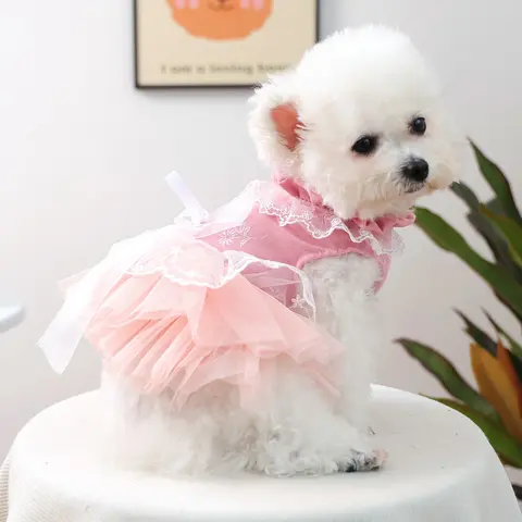 Waltz Tutu Dress for Pets, Luxury Princess Costume for Dogs & Cats, Teddy Bichon Pomeranian Miniature Poodle Dog Clothes, Puppy Clothes
