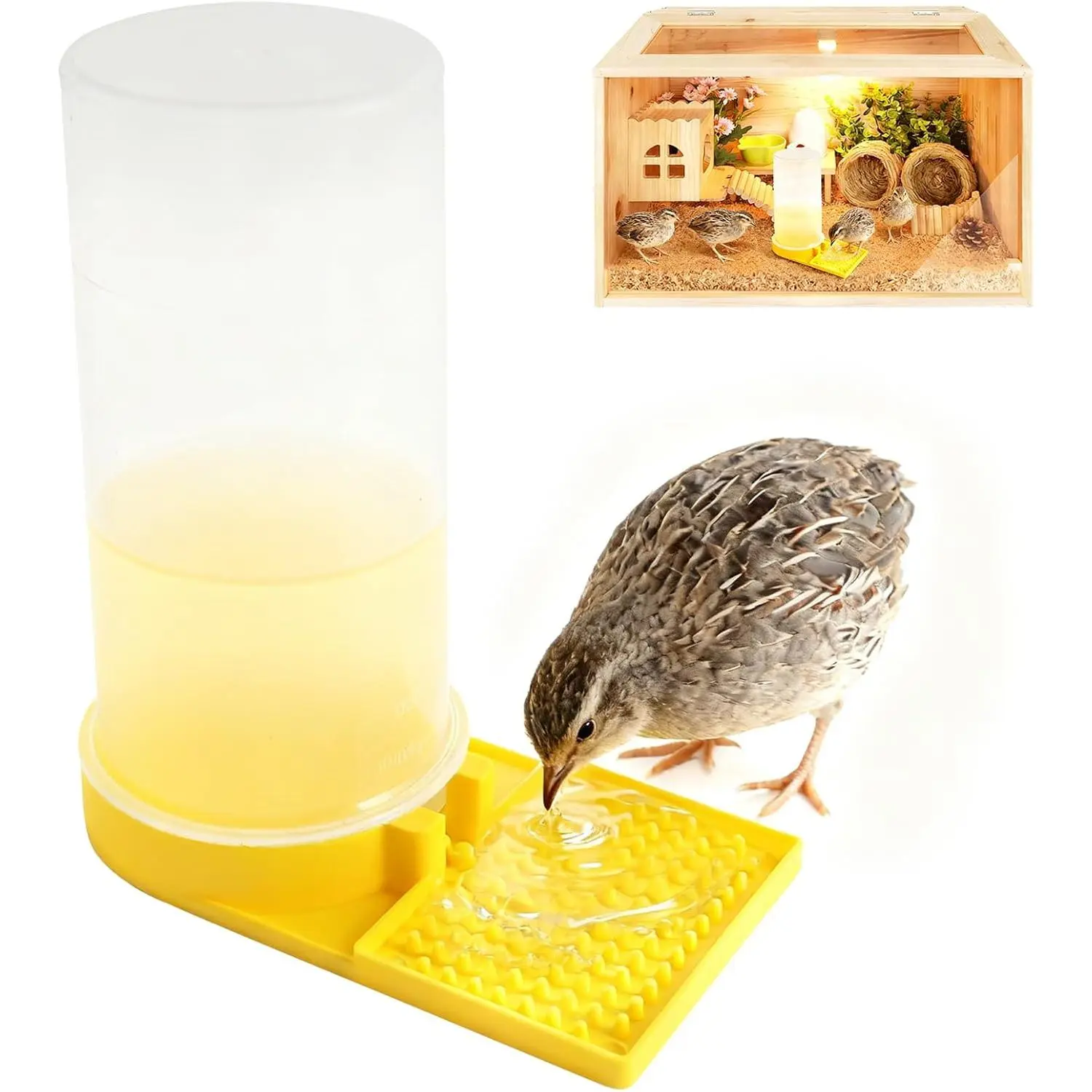 Large-capacity quail waterer, a button-operated quail accessory for quail cages, can be used for multiple purposes as a quail feeder, quail waterer, chick waterer, and bird waterer, making it an ideal feeder for young birds