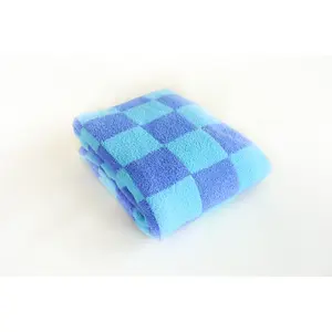 Blue Checkered Blanket