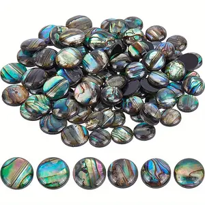 90 Natural Abalone Shell Coins 8mm 10mm Flat Round Paua Shell Convex Round Beads, Storage Containers with Frame Clay Cup Decoration