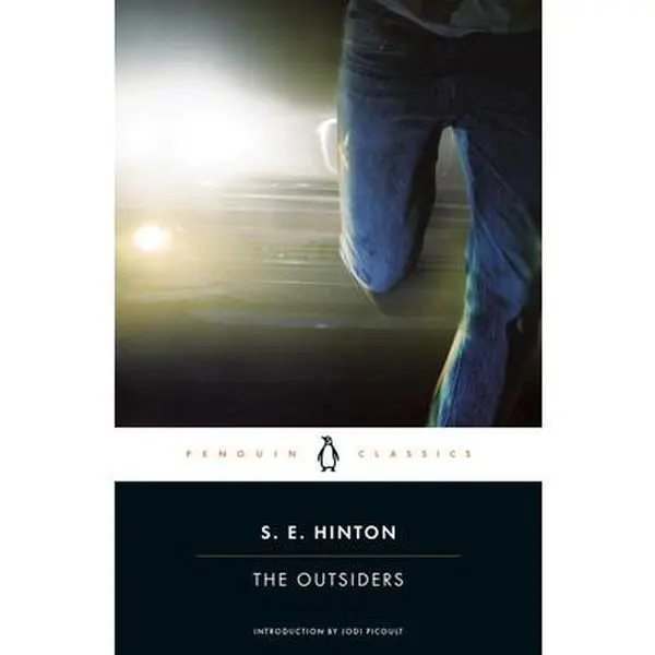 The Outsiders Paperback Novel, S.E. Hinton Book for Children's Literature & Art Enthusiasts